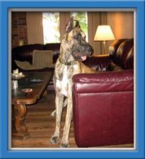 Theodore aka "Tex"