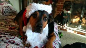 Tucker