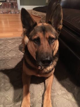 Titus