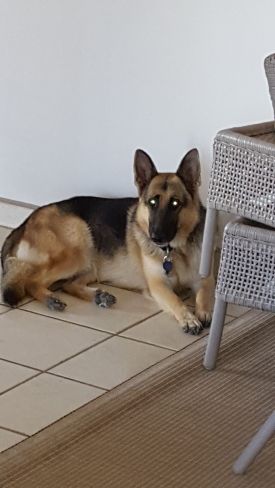 Sophia