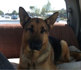 Mack