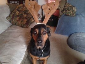 Tucker