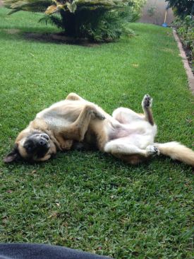 Maxx