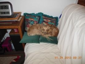 Dixie