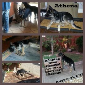 Athena