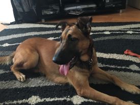 Nayla