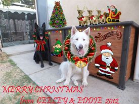 Eddie