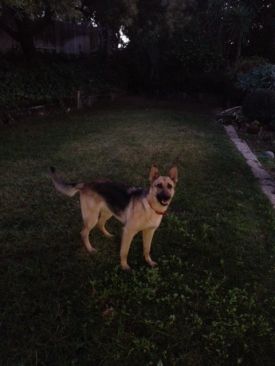 Gabby